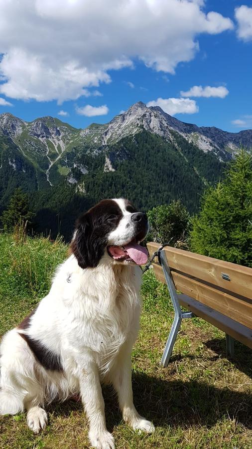 Des Alpes Hotel Foppolo